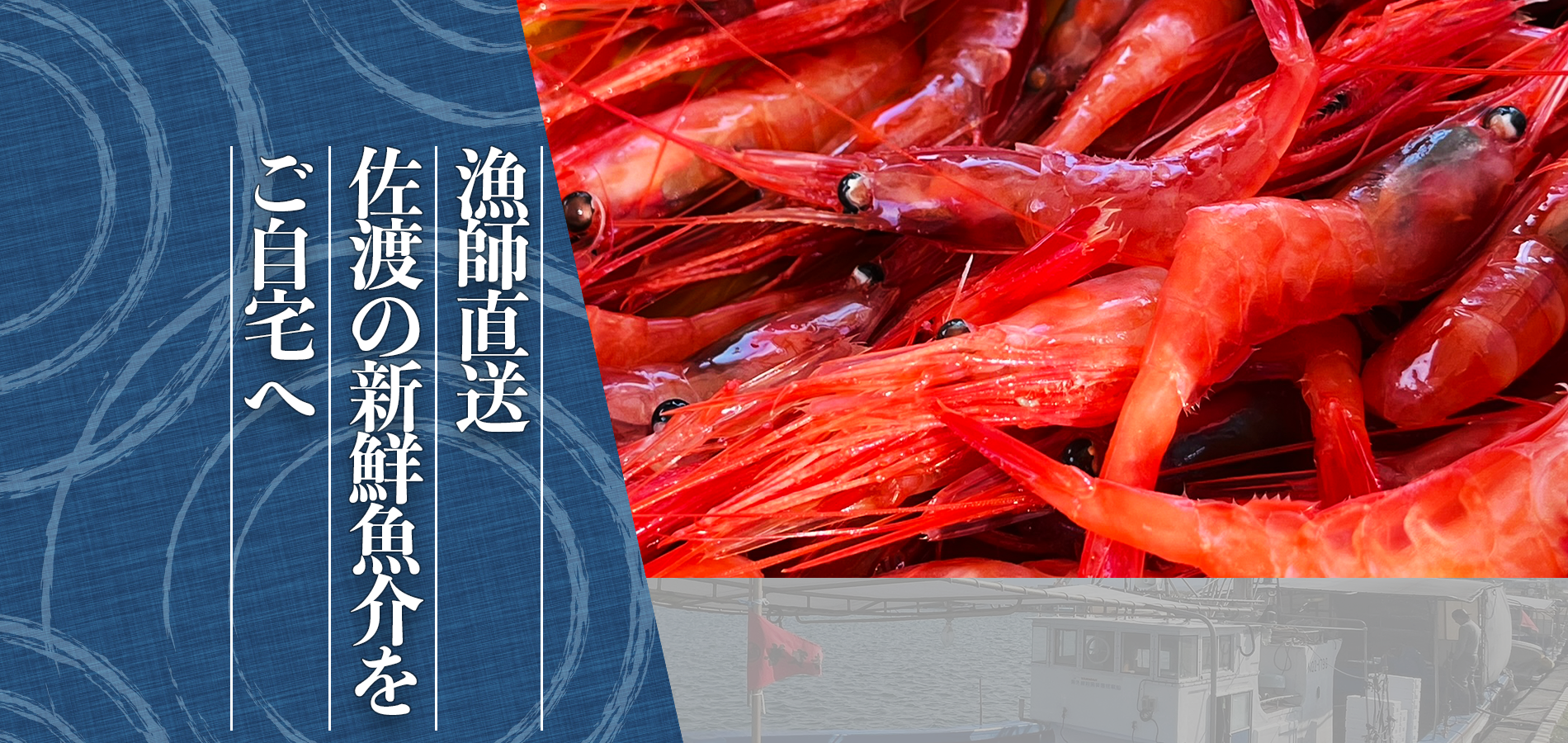 佐渡産南蛮えび